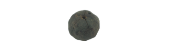 Rudraksha For Life